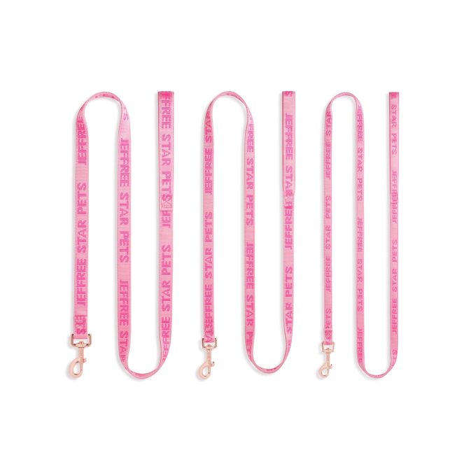 Woven Pink Leash - Image 6